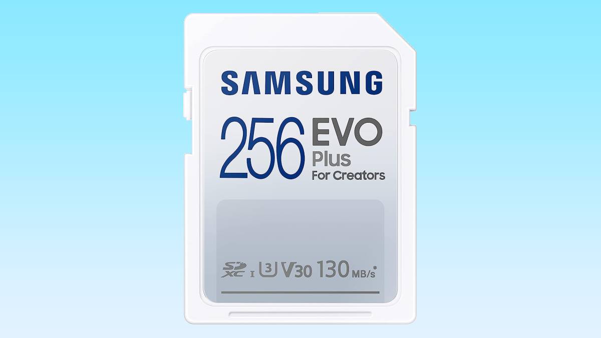  SAMSUNG PRO Ultimate microSD Memory Card + Adapter, 256GB  microSDXC, Up to 200 MB/s, 4K UHD, UHS-I, Class 10, U3,V30, A2 for GoPRO  Action Cam, DJI Drone, Gaming, Phones, Tablets, MB-MY256SA/AM 